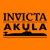 Ikona